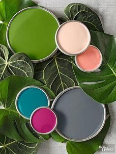 four different shades of paint sitting on top of green leafy leaves, next to each other