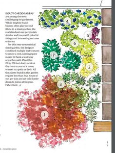 an article in the garden shows different plants and numbers on each planter's side