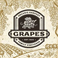 an old fashioned logo for organic harvest olives