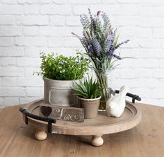 three potted plants are sitting on a tray