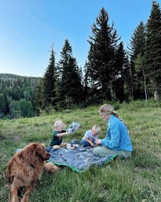 two children and a dog are sitting on a blanket in the grass near some trees