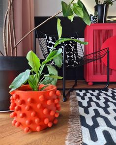 an orange potted plant sitting on top of a wooden table next to a black and white rug