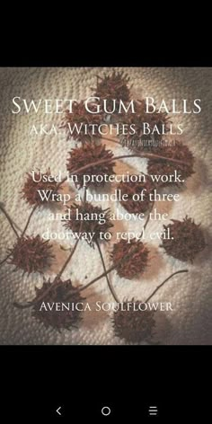 Peppercorn Witchcraft, Witches Burrs Uses, Pinecone Magic, Witch Balls, Sweet Gum