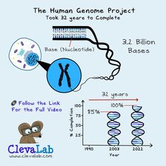 the human genome project has been created to help students learn how to use their cell phone