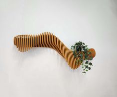 a plant is growing out of the side of a wooden wall mounted sculpture that looks like a curved piece of wood