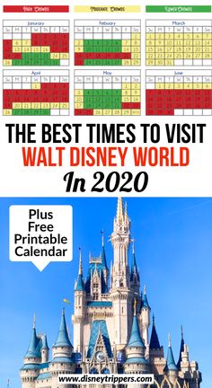 the best times to visit walt world in 2020