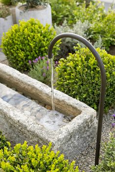 a water fountain in the middle of a garden