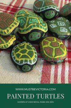 painted turtles on a red and white checkered tablecloth with text overlay that says painted turtles