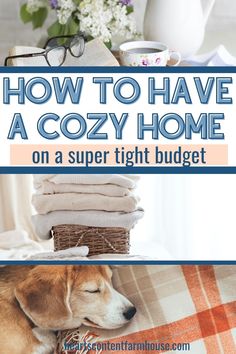 how to have a cozy home on a super tight budget with your dog or cat