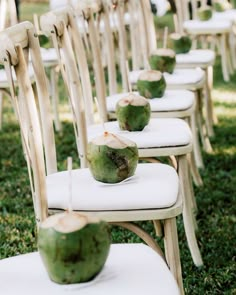 chairs lined up with coconuts on them for an outdoor wedding or reception ceremony in the grass