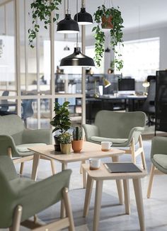 an office with blue chairs and plants hanging from the ceiling