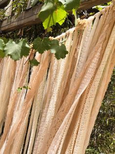 there are many different types of fabric hanging on the tree branch and in front of it is an old wooden sign