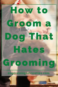 Dog Grooming Diy, Dog Grooming Styles, Dog Remedies, Dog Grooming Salons, Puppy Grooming, Dog Grooming Tips, Poodle Grooming, Basic Dog Training, Dog Haircuts