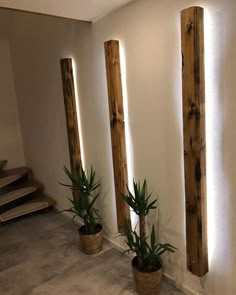 three potted plants sitting next to each other in front of some wooden poles on the wall