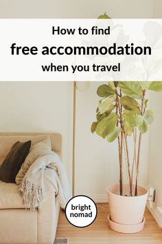 a living room with a couch, potted plant and the words how to find free accommodations when you travel