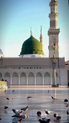 many birds are standing around in front of a building with a green dome on top