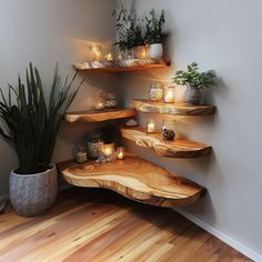 some shelves that have candles and plants on them