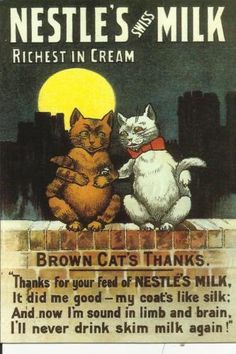 an advertisement for nestles and milk featuring two cats sitting on a brick wall with the caption, brown cats thanks