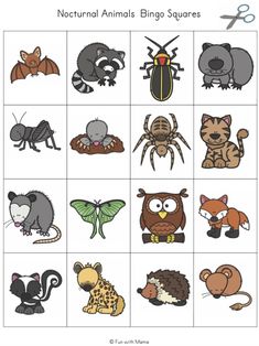 an animal and insect matching game for kids