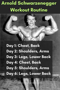 Arnold Schwarzenegger Daily Routine Arnold Split Workout, Bodybuilding Split Workout Plans, Arnold Back Workout, 5 Day Workout Split Muscle Building, Arnold Training, Arnold Shoulder Workout, Arnold Schwarzenegger Workout, Accessory Workout, Arnold Schwarzenegger Workout Routine