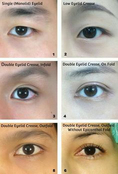 the steps in how to apply eyeliners for blue eyes and brown eyes with no makeup