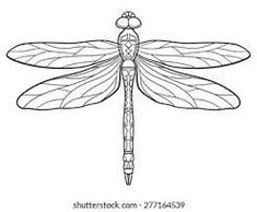 a drawing of a dragonfly on a white background