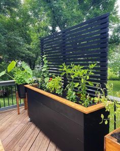 Privacy Planter, 2x4 Projects, Kursi Bar, Plants Growing, Outdoor Planter, Landscape Designs, Small Backyard Patio, Small Backyard Pools