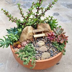 a potted plant with rocks and plants in it