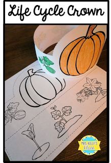 an image of a paper pumpkin life cycle crown