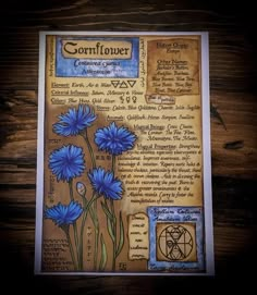 Cornflower Artwork Cornflower Witchcraft, Pagan Artwork, Fantasy Journal, Larp Props, Spirit Magic, Anting Manik, Tarot Significado, Grimoire Book, Magic Spell Book