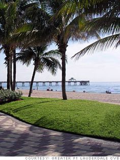 palm trees line the beach with people in the water and pier in the back ground