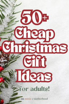 50+ Cheap Christmas Gift Ideas for Adults Small Inexpensive Gift Ideas, Small Xmas Gift Ideas, Christmas Gift Ideas For Adults, Creative Stocking Stuffers, Christmas Shopping Ideas, Cheap Christmas Gift Ideas, Cheap Christmas Gift, Gift Ideas For Adults, Unique Christmas Gifts Diy