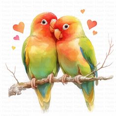 two colorful birds sitting on top of a tree branch with hearts in the sky behind them