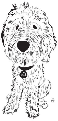 a black and white drawing of a dog