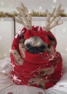 a pug dog wearing reindeer antlers on top of a bed in a red blanket