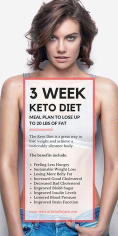 Keto Plan, Ketogenic Diet For Beginners, Keto Brownies, Ketogenic Diet Plan, Lose 20 Lbs, Keto Diet Meal Plan