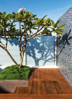 a small tree in the middle of a wooden deck next to a wall with blue and white tiles on it