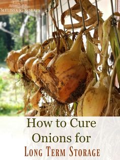 the cover of how to care onions for long term storage