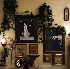 there are many framed pictures on the wall with plants growing up it's side