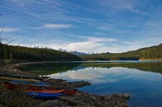 several canoes are lined up on the shore of a lake