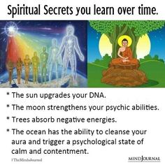 Think there are some spiritual secrets we've overlooked? Drop your thoughts below! Spiritual Awakening Signs, Spiritual Psychology, Spirit Science, Energy Healing Spirituality, Awakening Quotes, Healing Frequencies, Spiritual Manifestation, Knowledge And Wisdom, Spiritual Wisdom