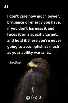 an eagle with the quote i don't care how much power, brilliant or energy you have, if you don't harness it and focus it on specific target