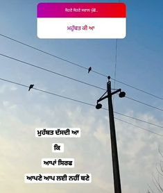 two birds sitting on top of power lines under a blue sky with the words in english