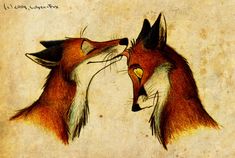 two foxes kissing each other with their mouths open