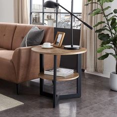 a living room with a couch, coffee table and potted plant in the corner