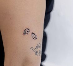 a ladybug tattoo on the right arm and left arm with two ladybugs