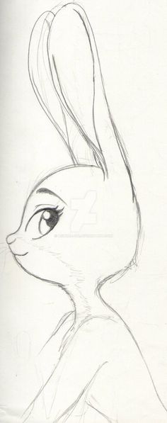 a pencil drawing of a rabbit's head with long ears and tail, looking to the side