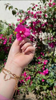 a woman's hand holding a pink flower in front of flowers