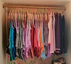 a closet filled with lots of different colored shirts hanging on clothes racks next to a potted plant