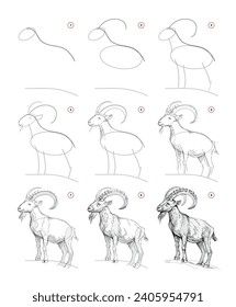 the steps to draw an animal with different poses and head shapes for each goat's body